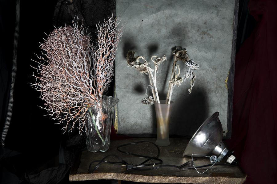  : New Work 2022-4 : Catherine Kirkpatrick Photography