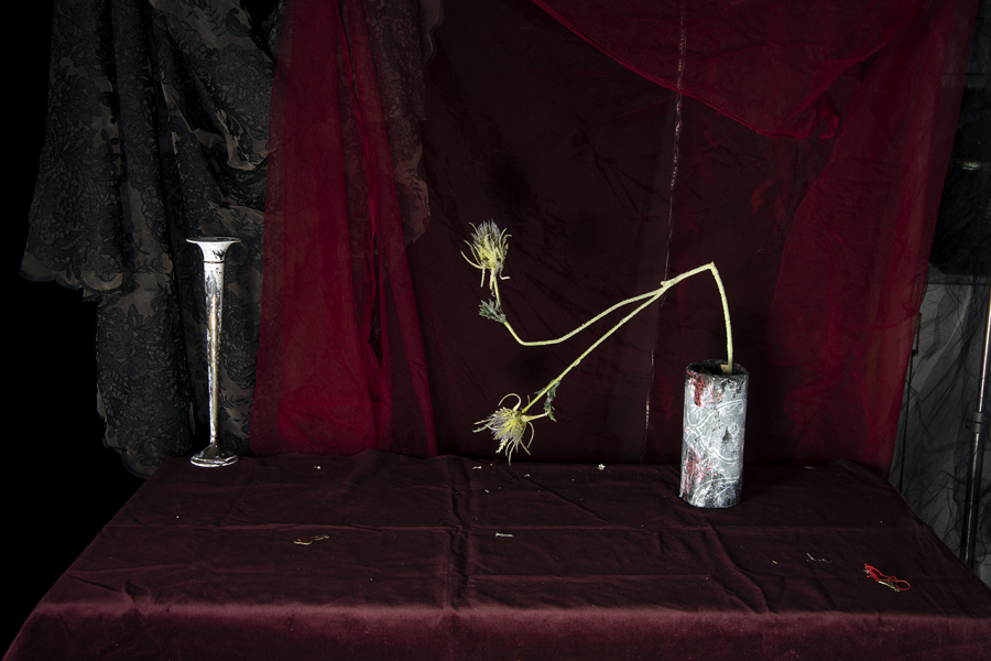  : New Work 2022-4 : Catherine Kirkpatrick Photography