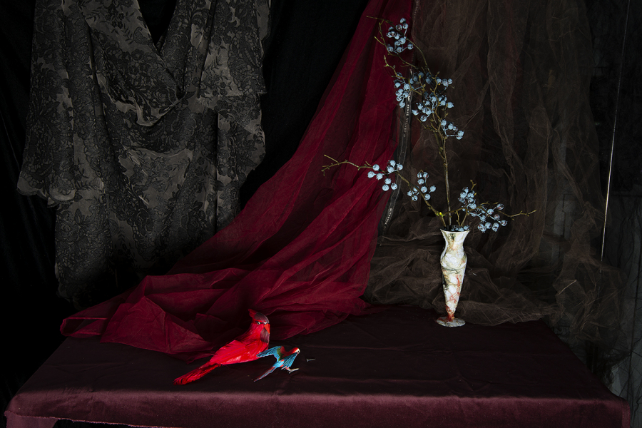  : New Work 2022-4 : Catherine Kirkpatrick Photography