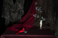 © Catherine Kirkpatrick