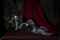 © Catherine Kirkpatrick