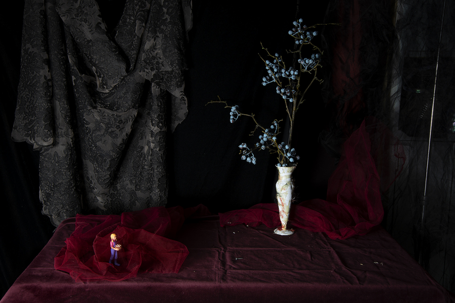  : Color and Form 2024-2026 : Catherine Kirkpatrick Photography
