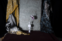 © Catherine Kirkpatrick