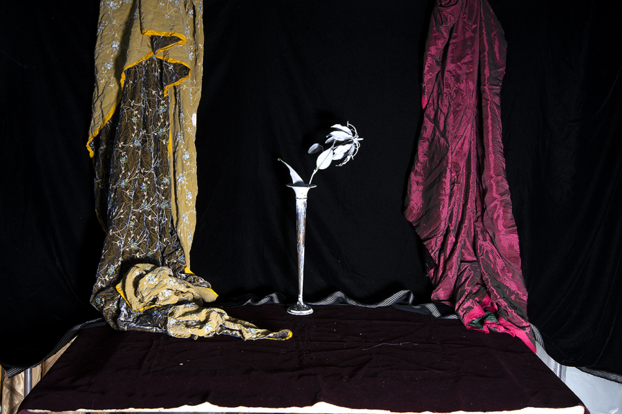  : Color and Form 2024-2026 : Catherine Kirkpatrick Photography