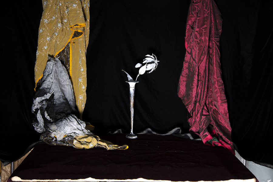  : Color and Form 2024-2026 : Catherine Kirkpatrick Photography