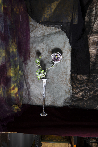 : New Work 2025 : Catherine Kirkpatrick Photography