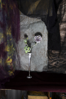 © Catherine Kirkpatrick