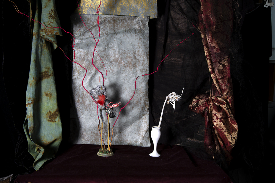  : New Work 2025 : Catherine Kirkpatrick Photography