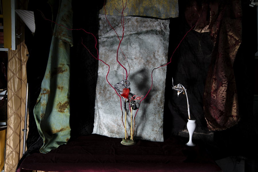  : New Work 2025 : Catherine Kirkpatrick Photography