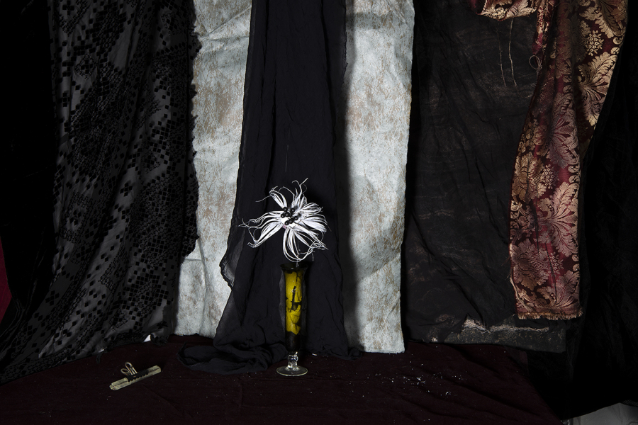  : New Work 2025 : Catherine Kirkpatrick Photography