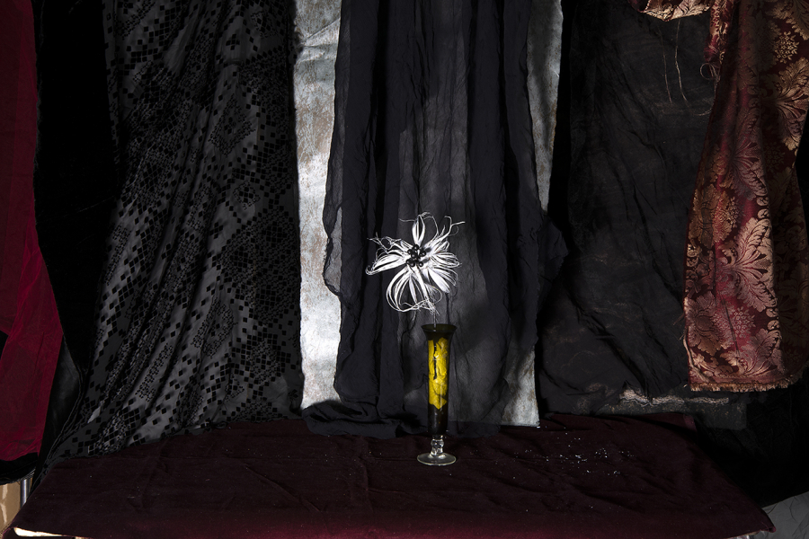  : New Work 2025 : Catherine Kirkpatrick Photography