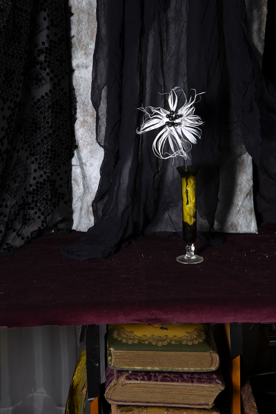  : New Work 2025 : Catherine Kirkpatrick Photography