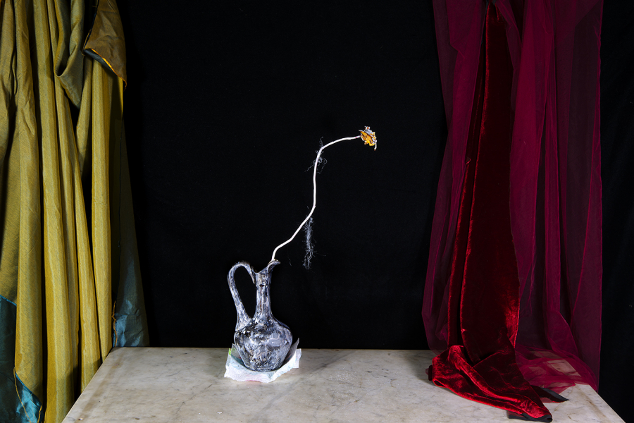  : New Work 2025 : Catherine Kirkpatrick Photography