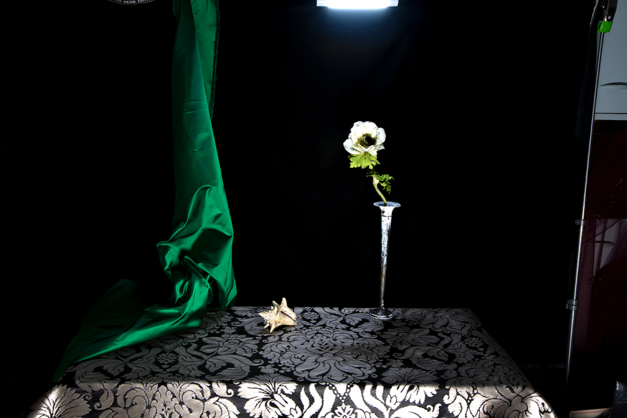  : New Work 2025 : Catherine Kirkpatrick Photography