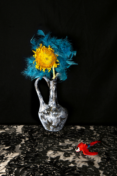  : New Work 2025 : Catherine Kirkpatrick Photography