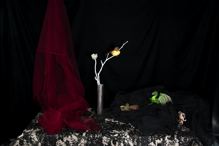  : New Work 2025 : Catherine Kirkpatrick Photography