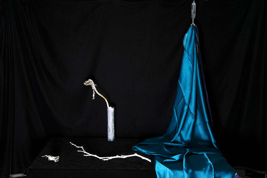  : New Work 2025 : Catherine Kirkpatrick Photography