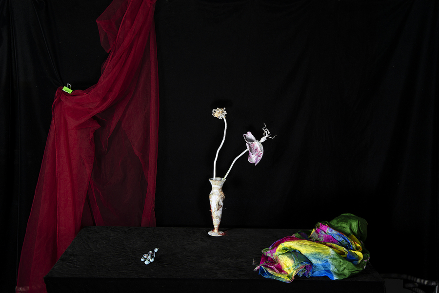  : New Work 2025 : Catherine Kirkpatrick Photography