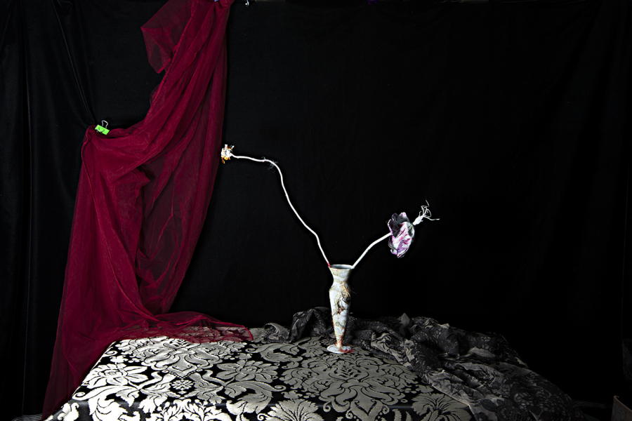  : New Work 2025 : Catherine Kirkpatrick Photography