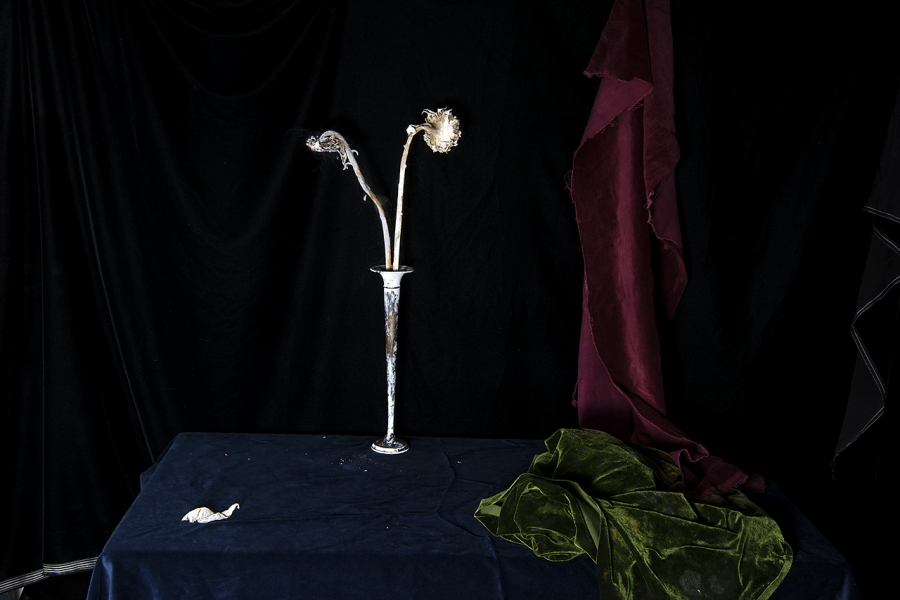  : New Work 2025 : Catherine Kirkpatrick Photography