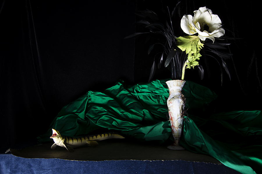  : New Work 2025 : Catherine Kirkpatrick Photography