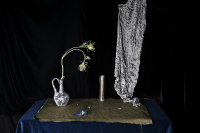 © Catherine Kirkpatrick