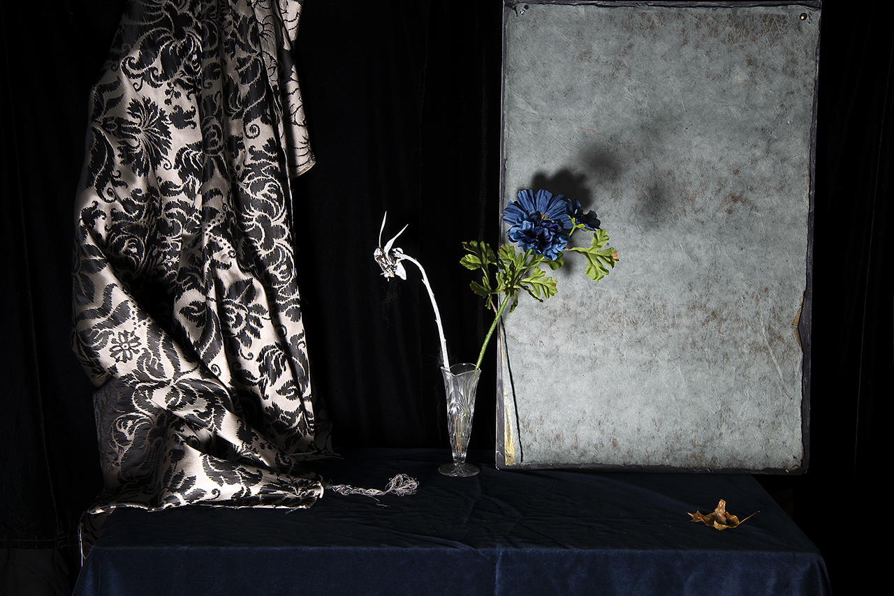  : New Work 2025 : Catherine Kirkpatrick Photography