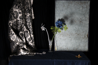 © Catherine Kirkpatrick