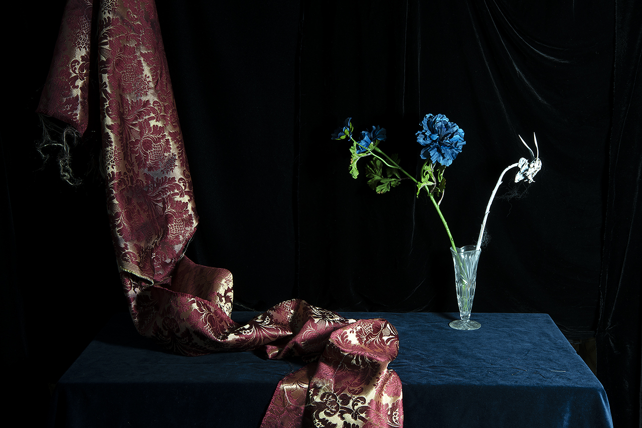  : New Work 2025 : Catherine Kirkpatrick Photography