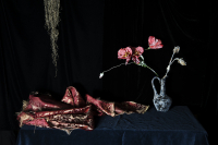 © Catherine Kirkpatrick