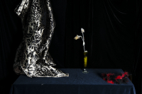 © Catherine Kirkpatrick