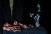 © Catherine Kirkpatrick