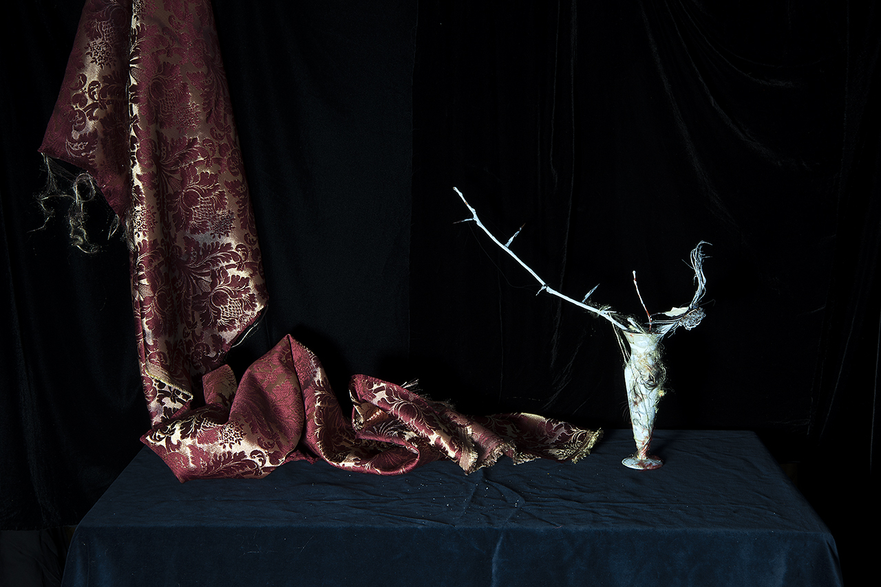  : New Work 2025 : Catherine Kirkpatrick Photography