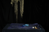 © Catherine Kirkpatrick