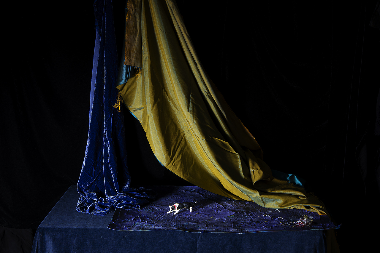  : New Work 2025 : Catherine Kirkpatrick Photography