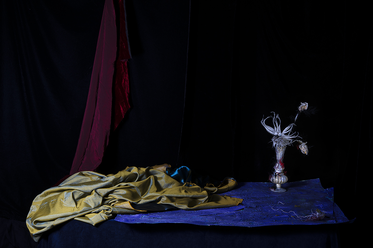  : New Work 2025 : Catherine Kirkpatrick Photography