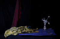 © Catherine Kirkpatrick