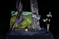 © Catherine Kirkpatrick