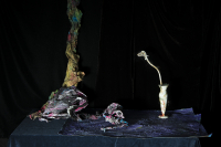 © Catherine Kirkpatrick