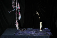 © Catherine Kirkpatrick