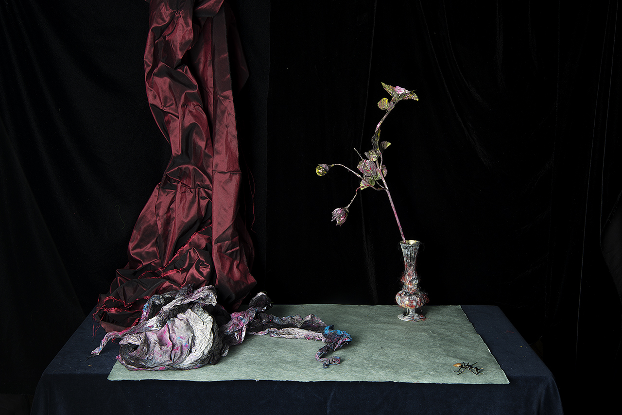  : New Work 2026 : Catherine Kirkpatrick Photography