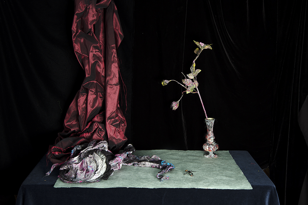  : New Work 2026 : Catherine Kirkpatrick Photography