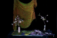 © Catherine Kirkpatrick