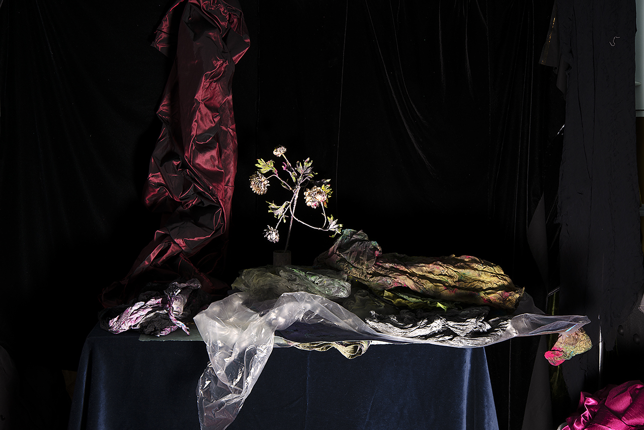  : New Work 2026 : Catherine Kirkpatrick Photography