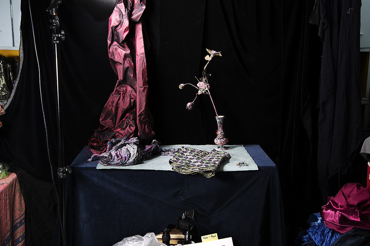  : New Work 2026 : Catherine Kirkpatrick Photography