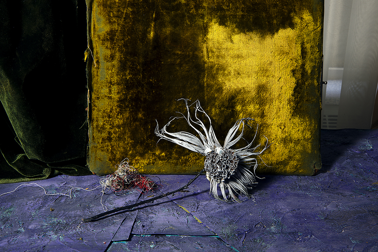  : New Work 2026 : Catherine Kirkpatrick Photography