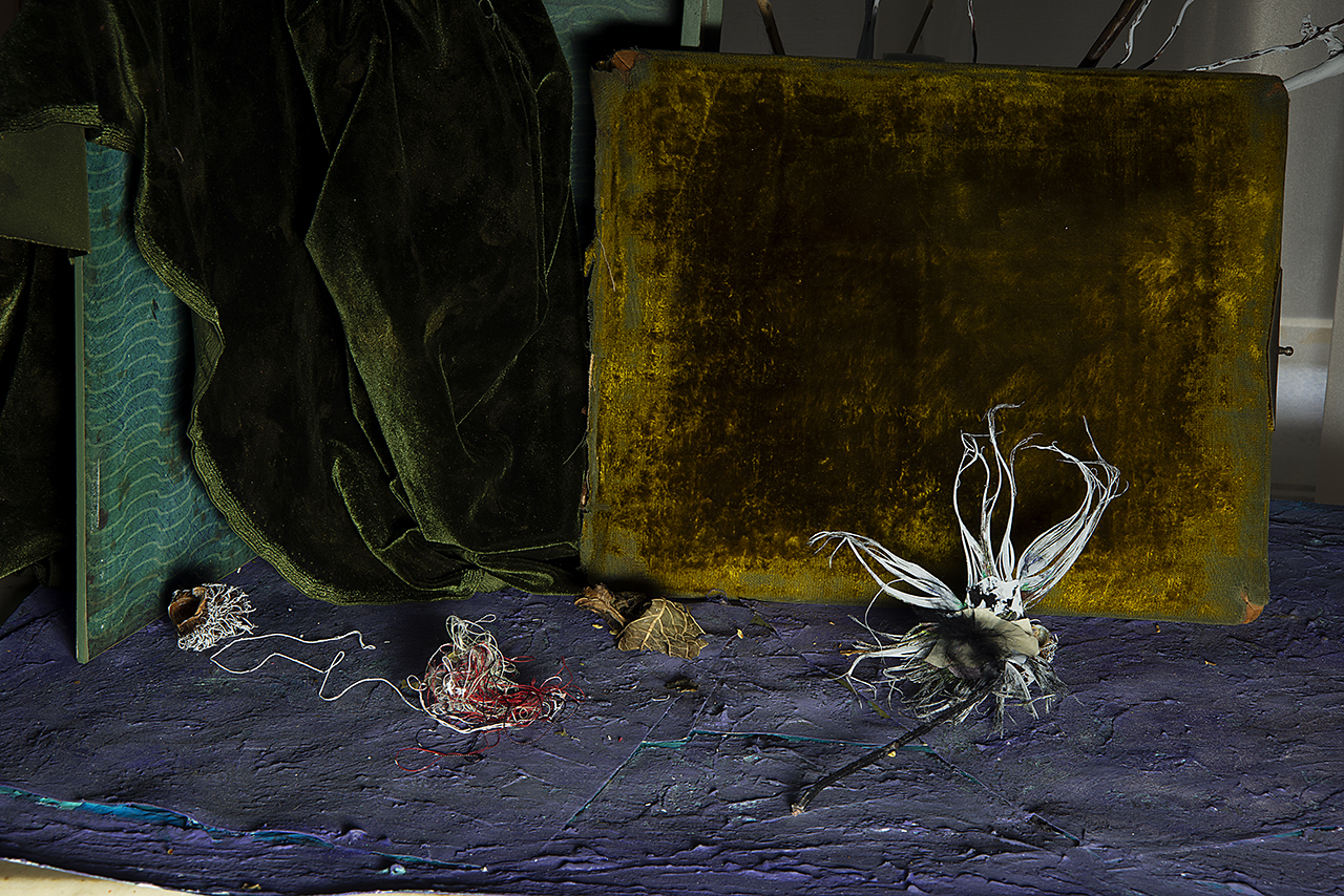  : New Work 2026 : Catherine Kirkpatrick Photography