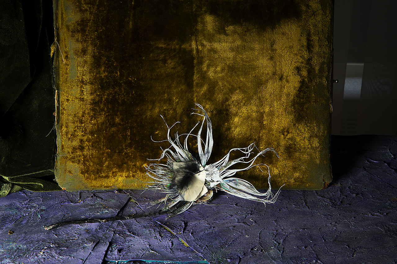  : New Work 2026 : Catherine Kirkpatrick Photography