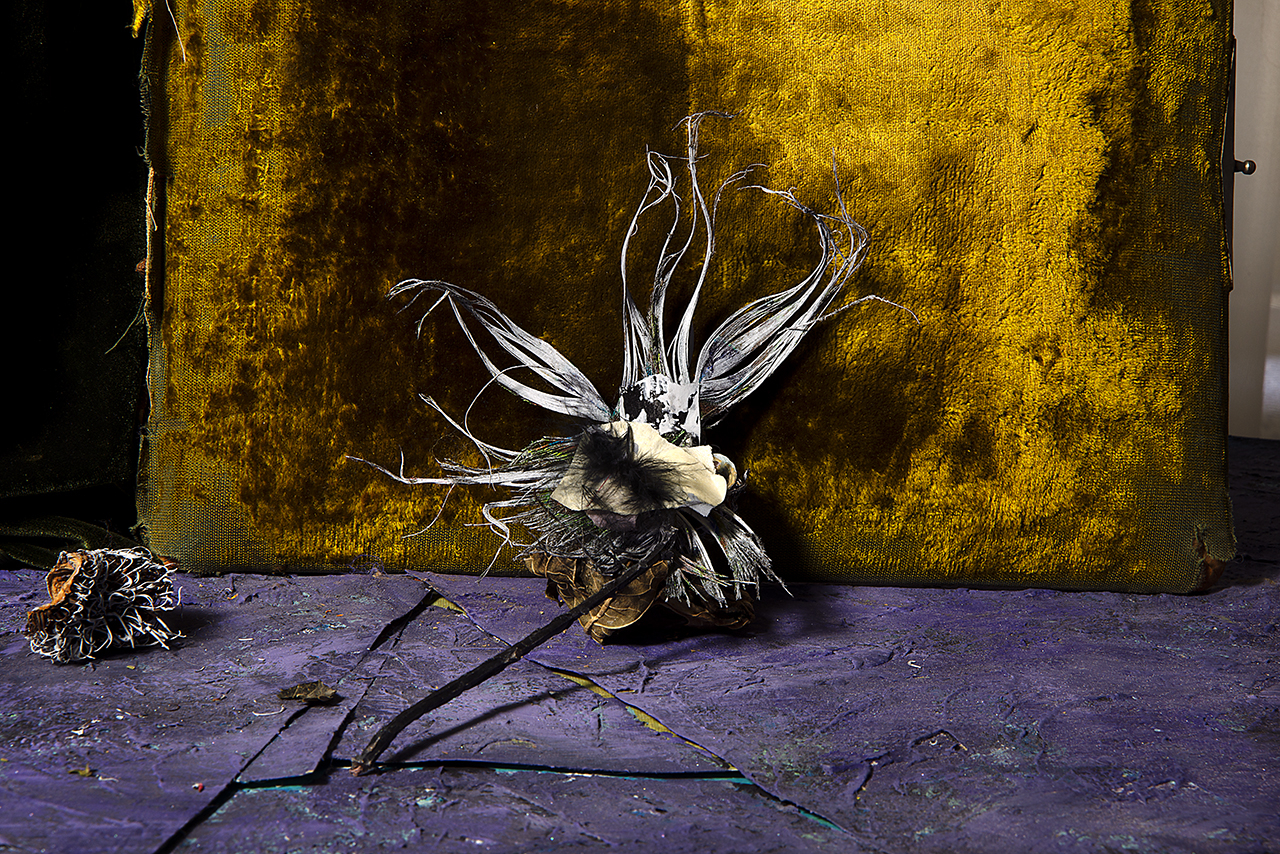  : New Work 2026 : Catherine Kirkpatrick Photography