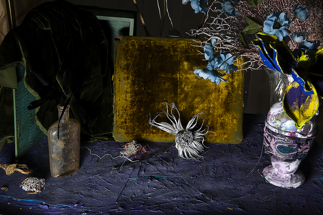  : New Work 2026 : Catherine Kirkpatrick Photography